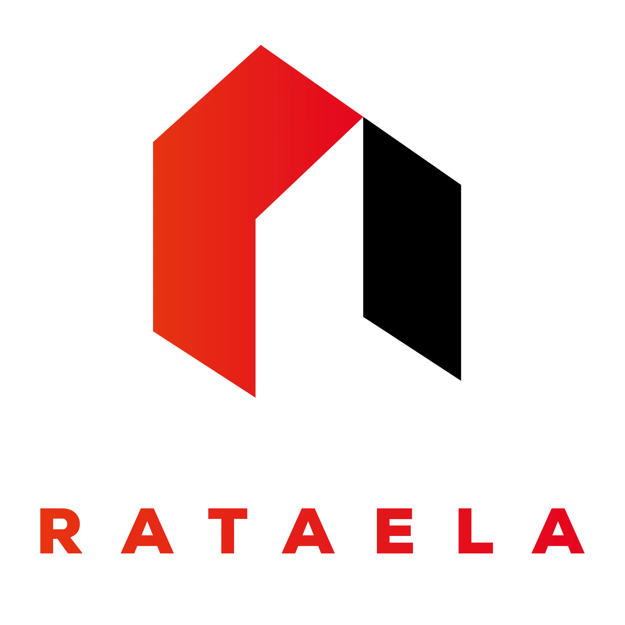 Generální partner